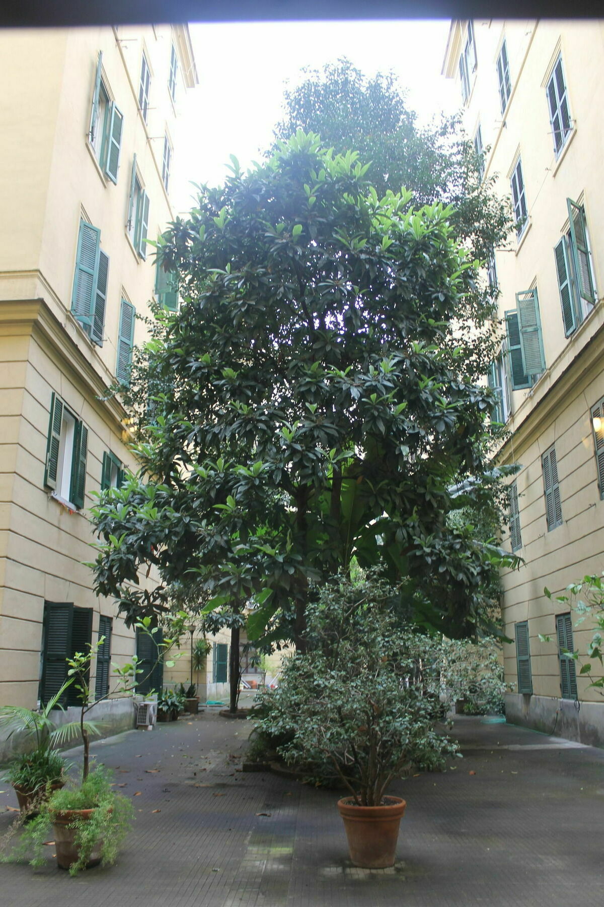 Bed & Breakfast Rovati Rome